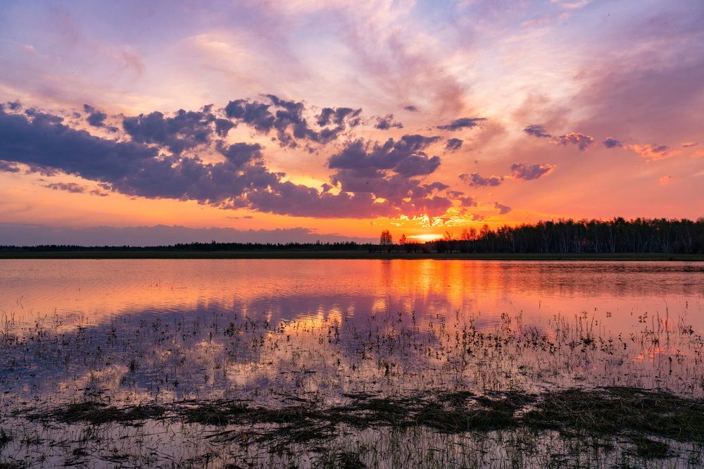 Photograph by Саргылана Прокопьева