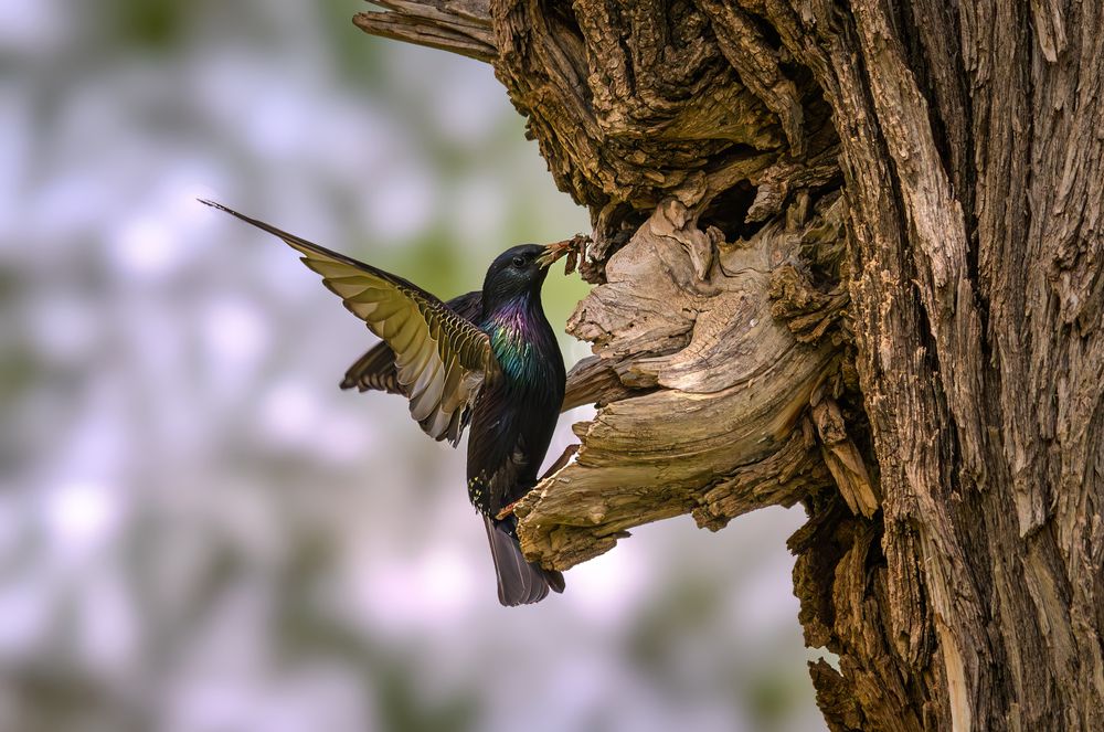 Photograph by Mahdi Reihani Bozorg