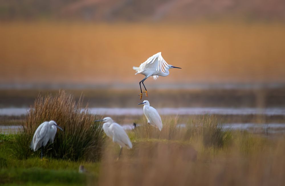 Photograph by Mahdi Reihani Bozorg