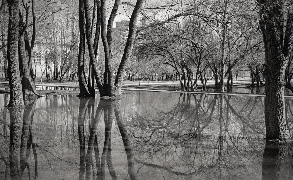 Фотография автора Панюшкин Владислав Владимирович