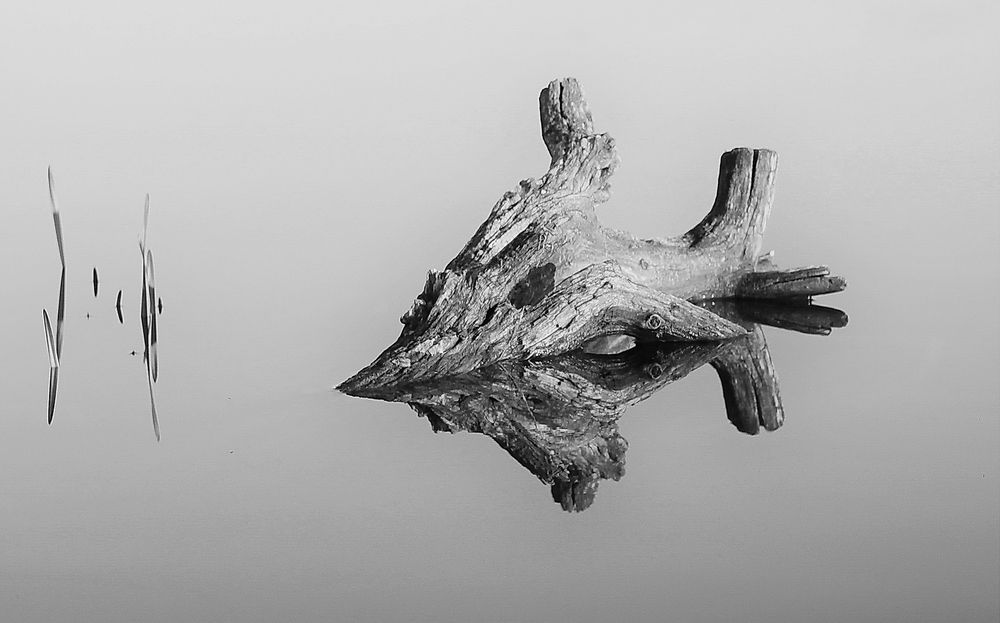 Photograph by Панюшкин Владислав Владимирович