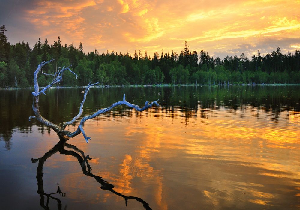 Photograph by Андрей Куликов