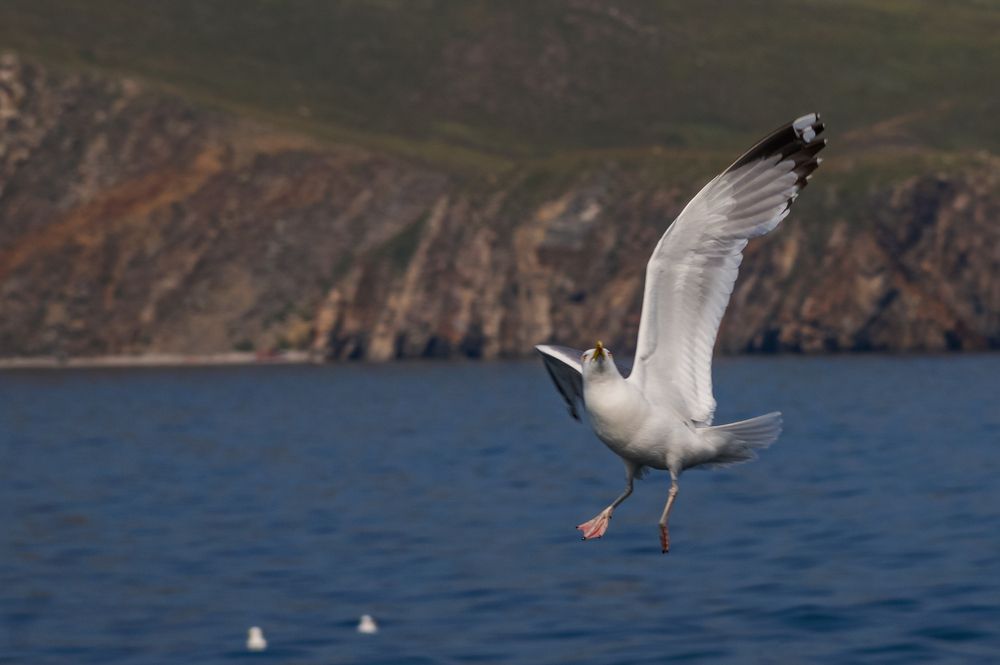 Photograph by Виктор Сёмушкин