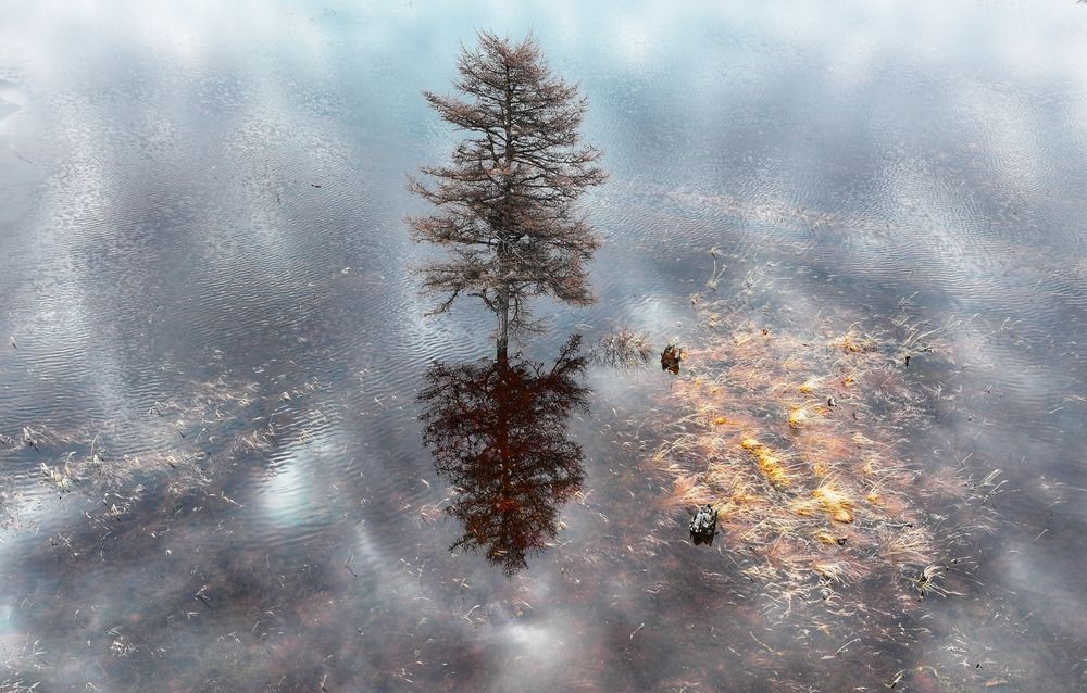 Мир отражений