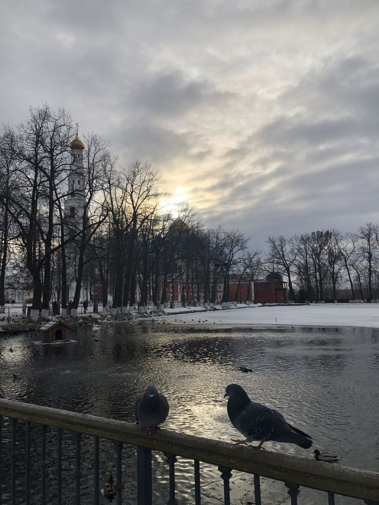 Photograph by Светлана