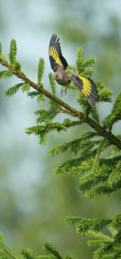 Photograph by Михаил Трусов