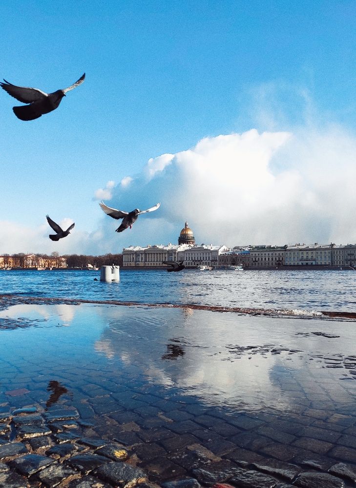 Photograph by Анастасия Алтабаева