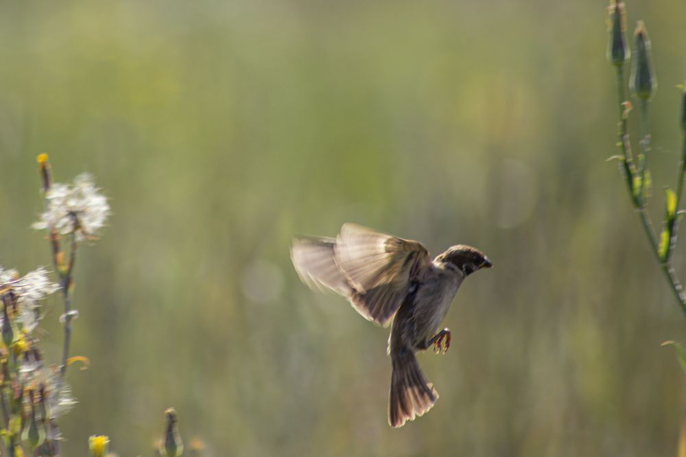 Photograph by Victoria Mogulyan