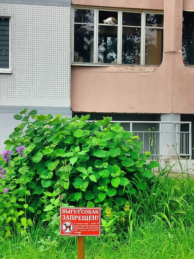 Фотография автора Наталья Драгун
