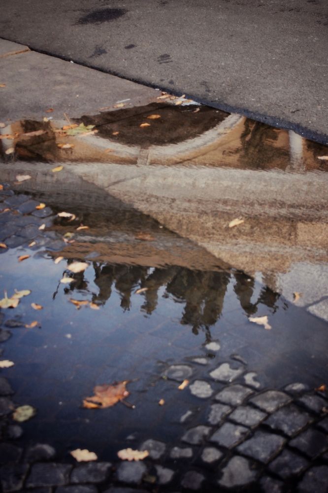 Photograph by Астафьева Анастасия