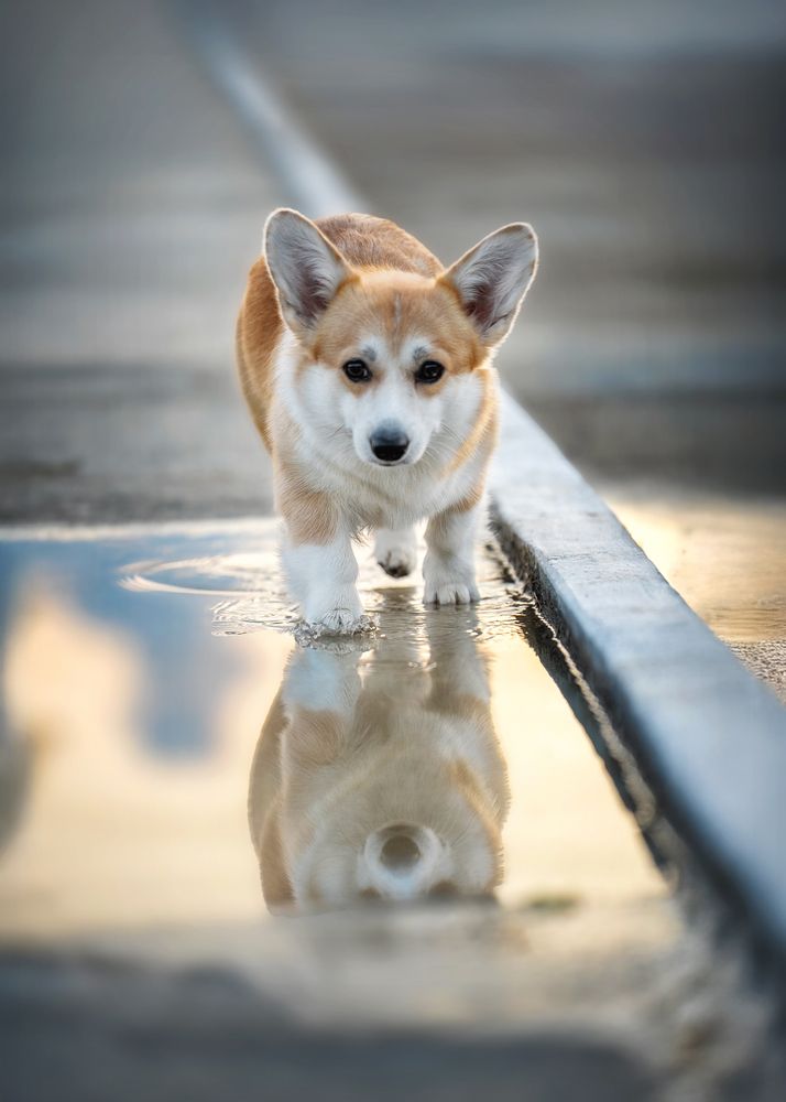 Photograph by Наталья Орел