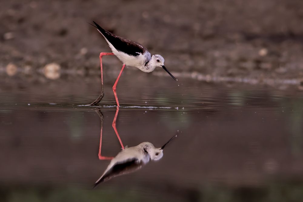 Photograph by Алёна Газукина