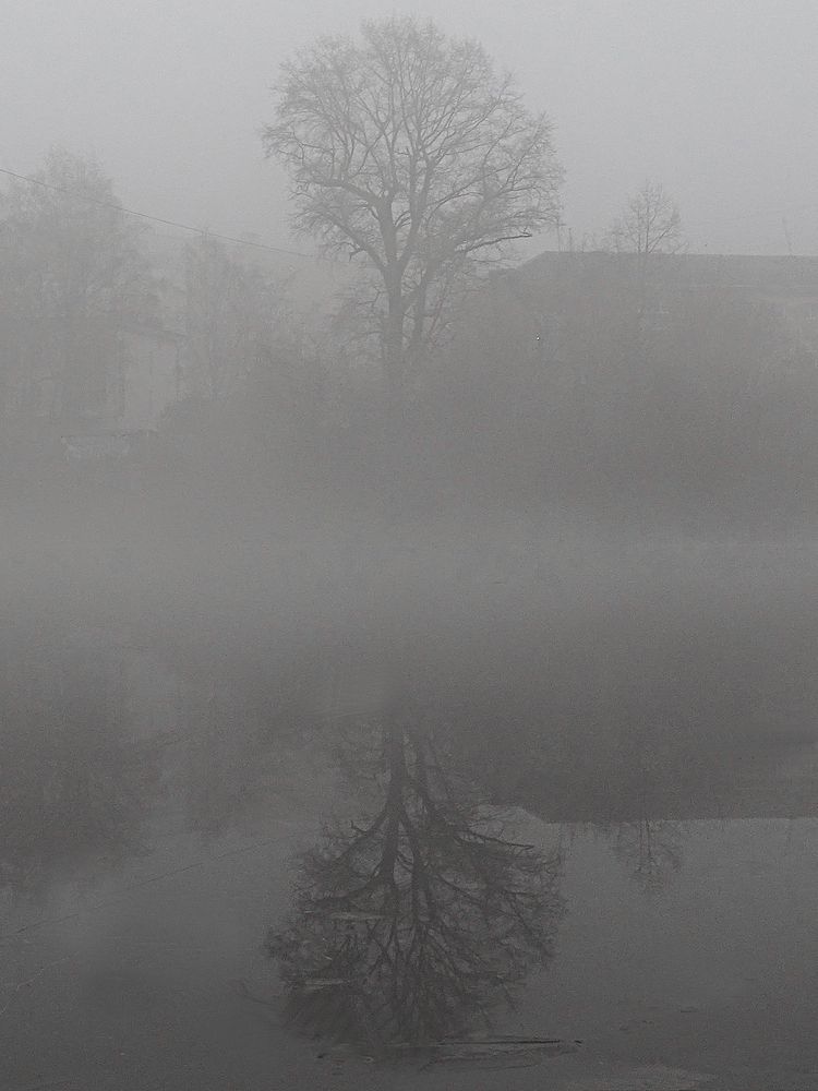 Photograph by Станислав Карташов