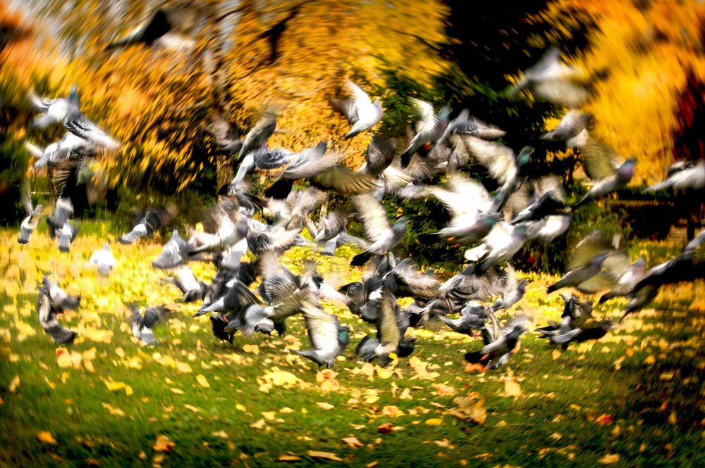 Photograph by Вячеслав Лычков