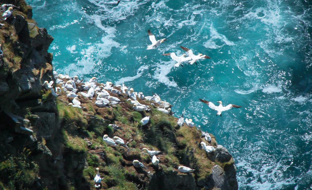 Photograph by Вячеслав Лычков