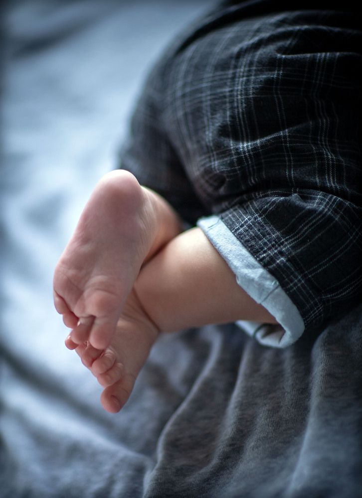 Фотография автора Анна Тихомирова