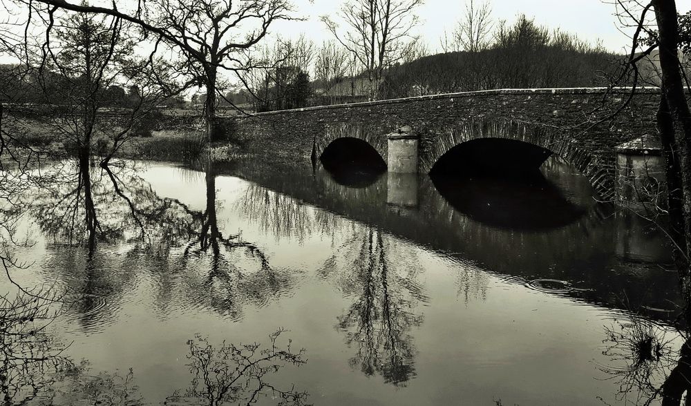 Photograph by Viviana García