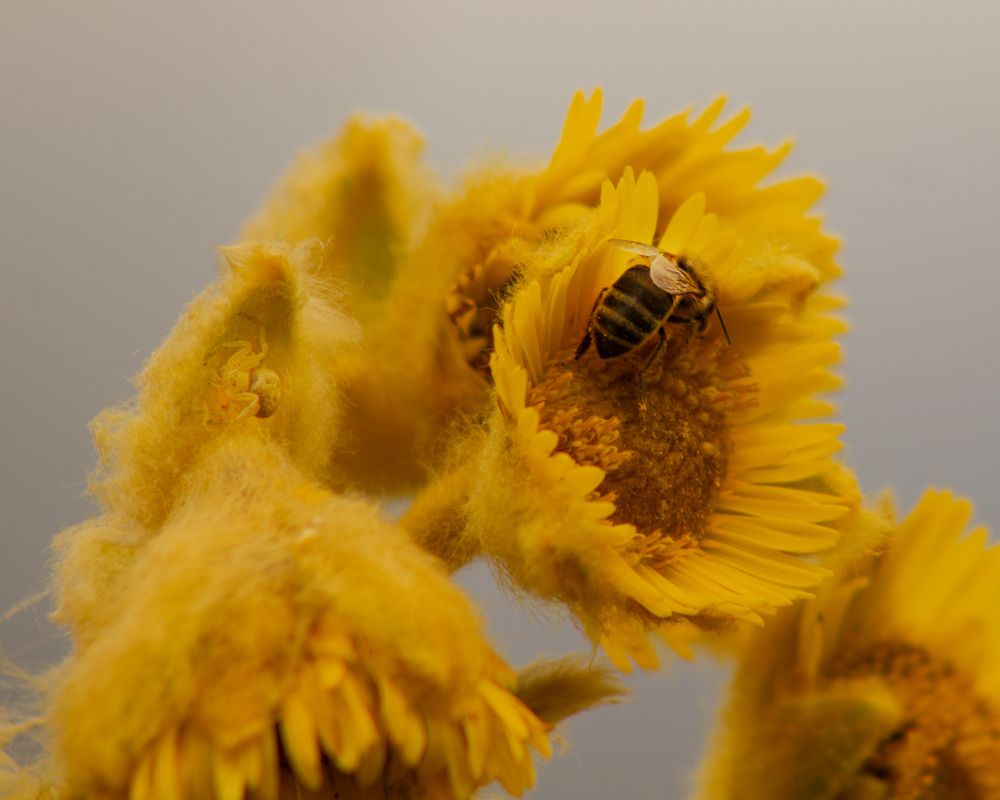 Фотография автора Ortiz Luz