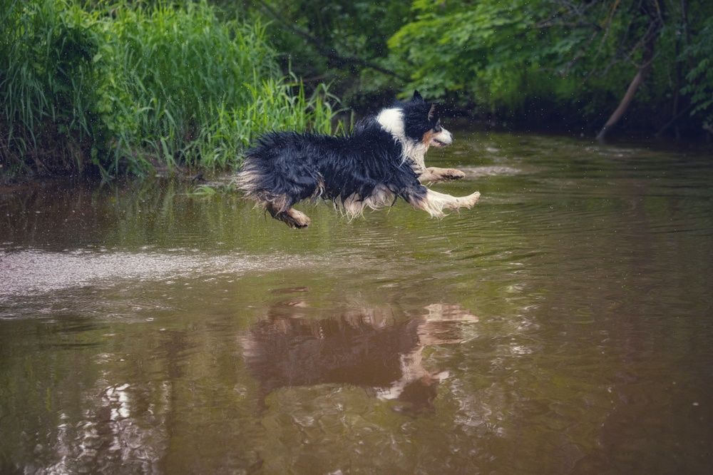 Photograph by Татьяна