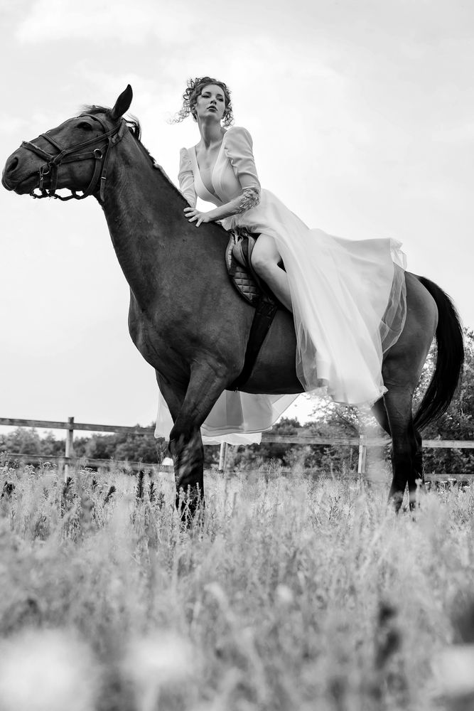 Укрощение строптивой