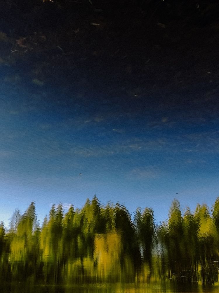 Фотография автора Алиса Исаева