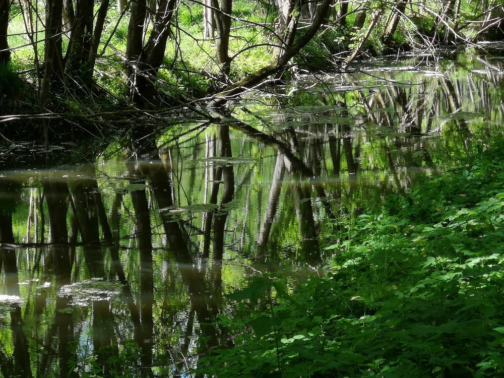 Photograph by Marina Razheva