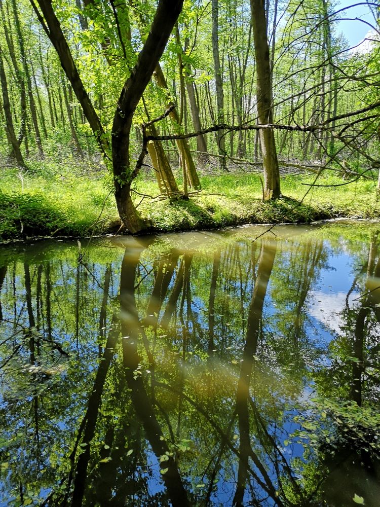 Photograph by Marina Razheva