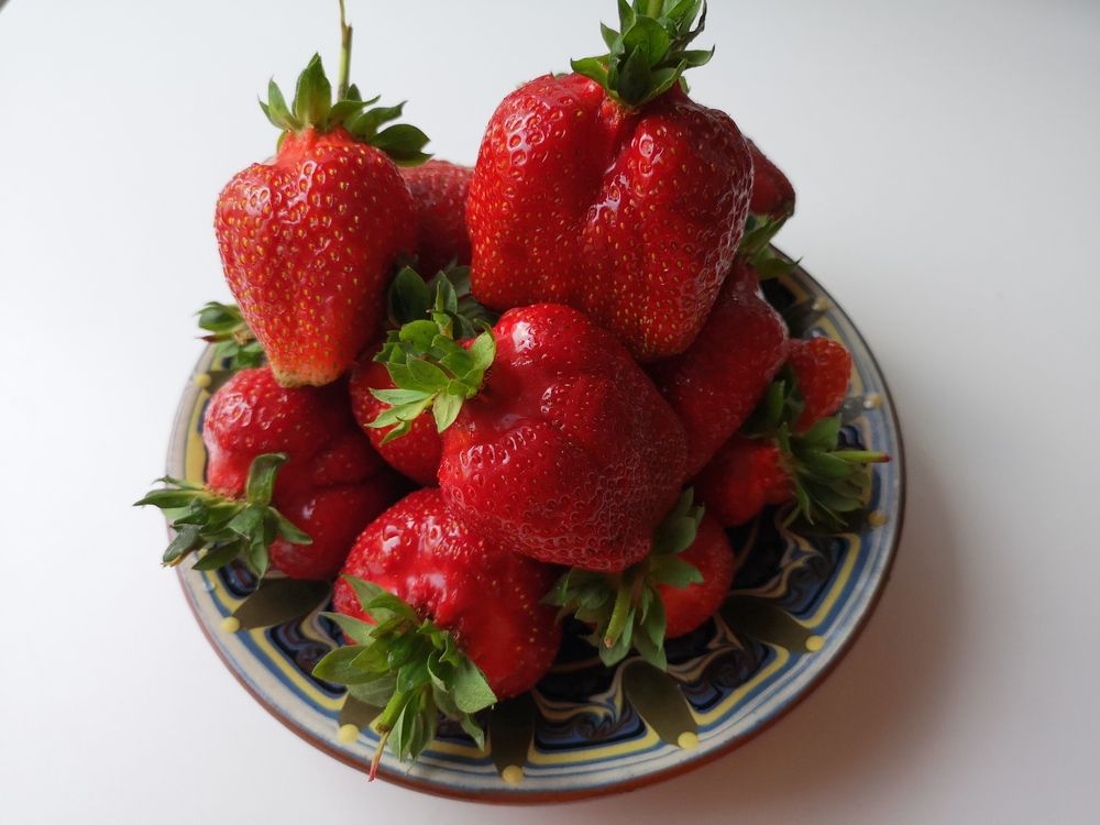 Photograph by Marina Razheva