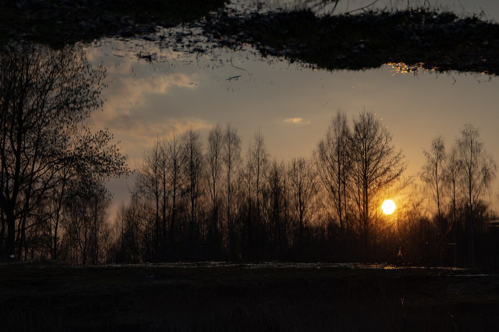 Photograph by Светлана Карнаух