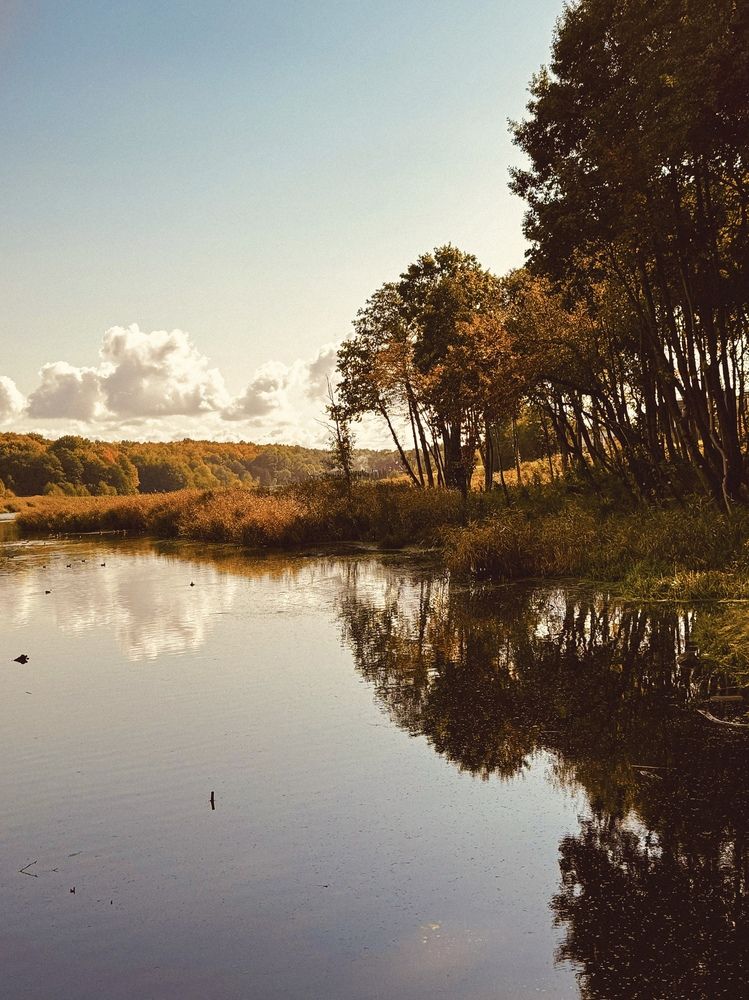 Photograph by Жанна Колесникова