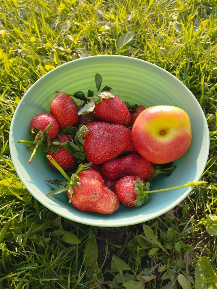 Photograph by Ольга Антохина