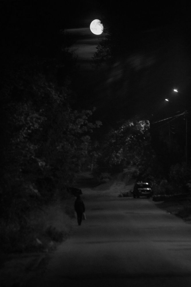 Лунная ночь в городе