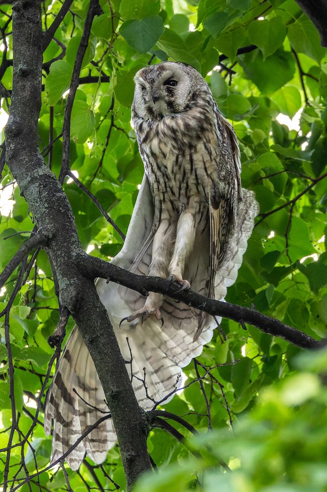 Photograph by Вера Машина