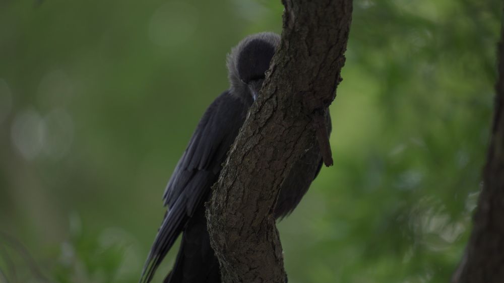 Photograph by Александр Климов