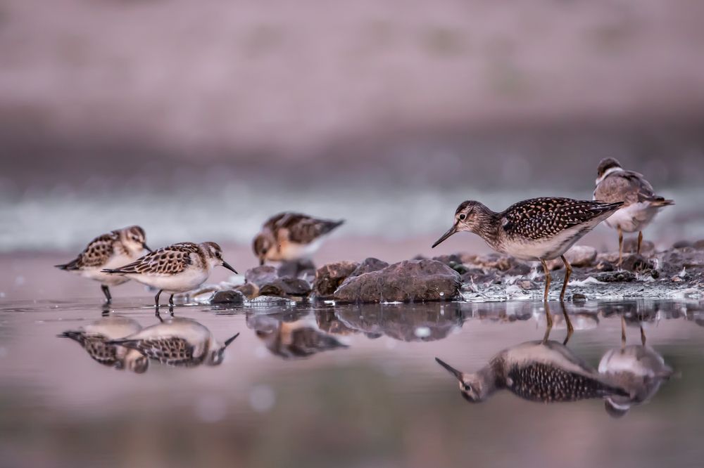 Photograph by Алёна Газукина