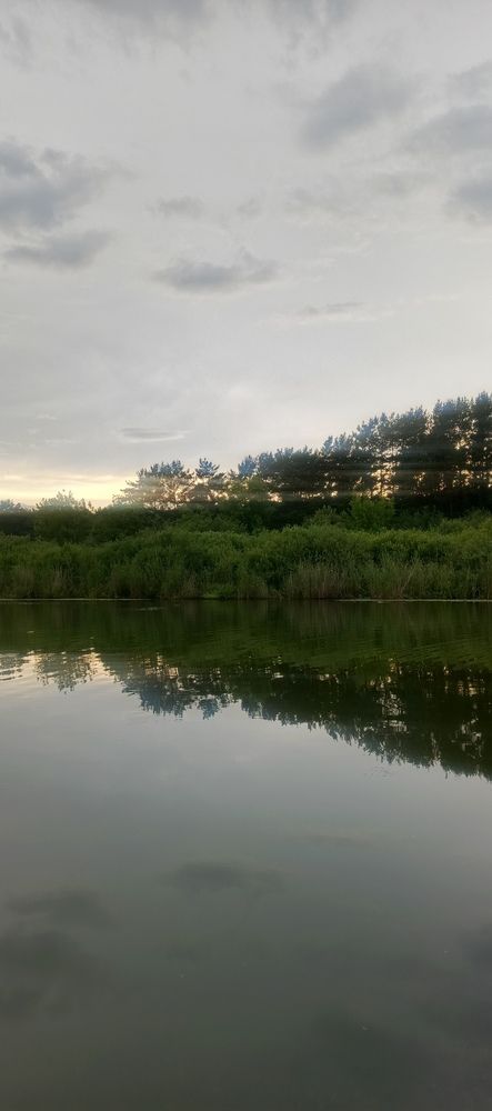 Фотография автора Ольга Петрова