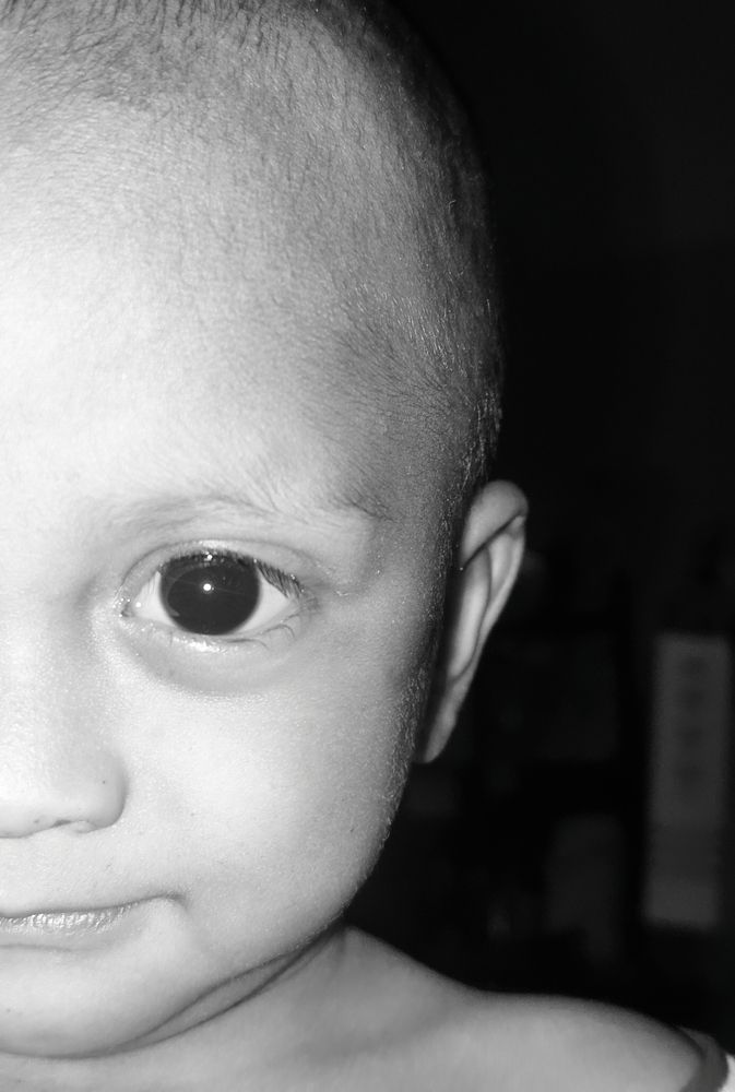 Photo #12332546