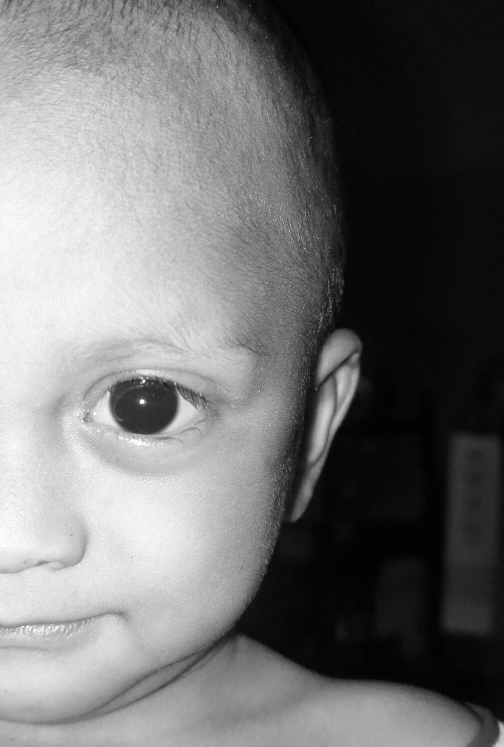 Photo #12332546