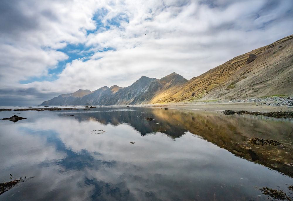 Photograph by Ольга Мусиенко