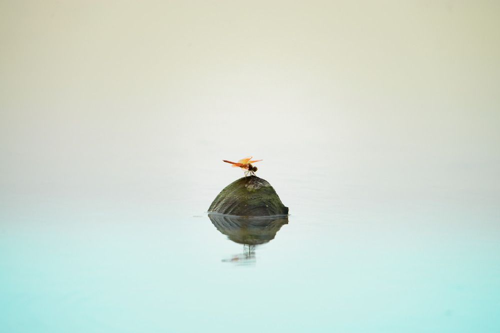 Фотография автора Bùi Nguyễn