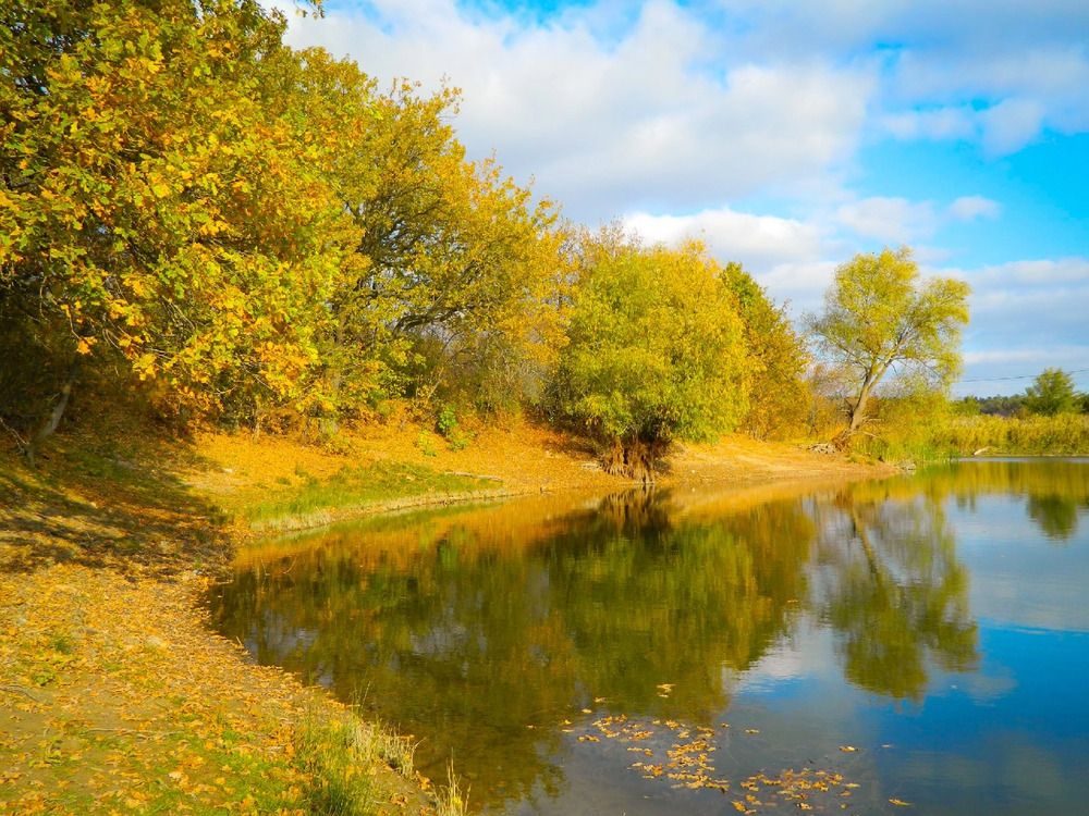 Река Отрада, Волгоград.