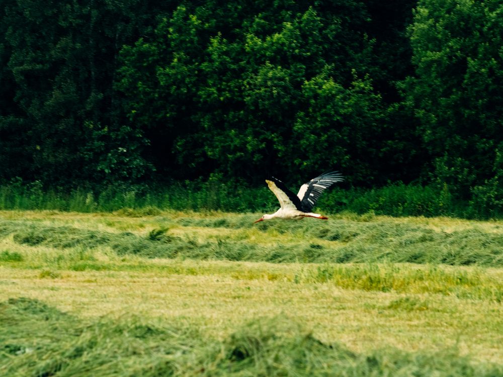 Photograph by Chelyshev Boris