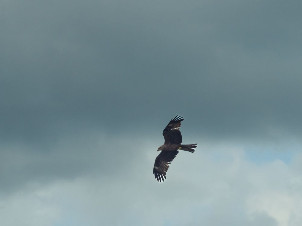 Photograph by Chelyshev Boris