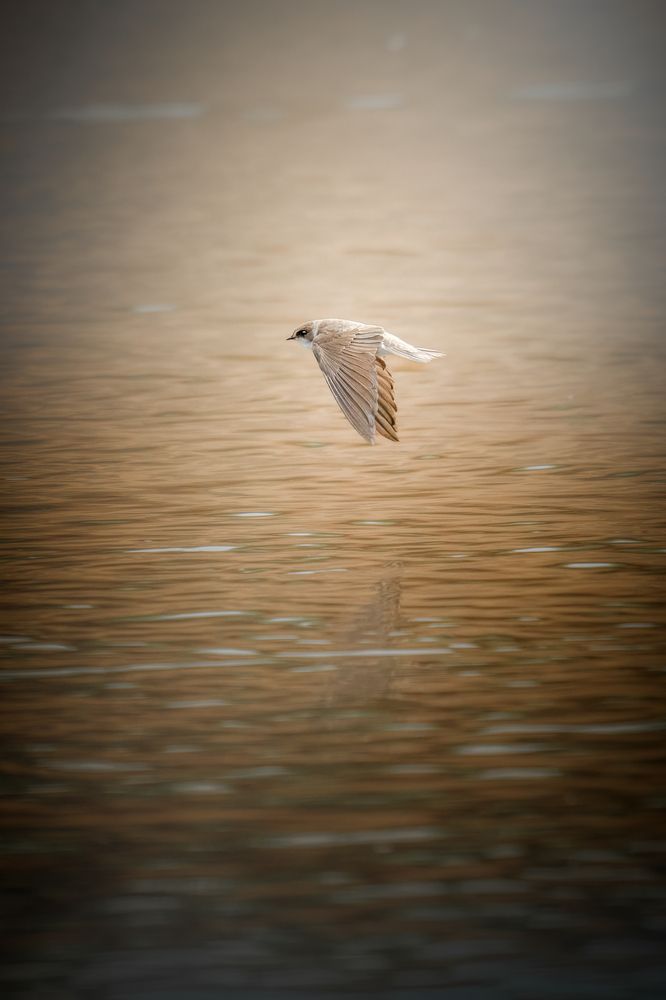 Photograph by Aleksandr Solovev