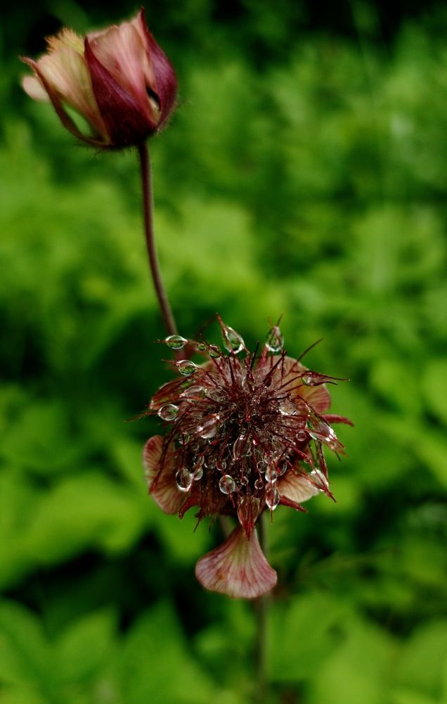 Photograph by Olga Kot