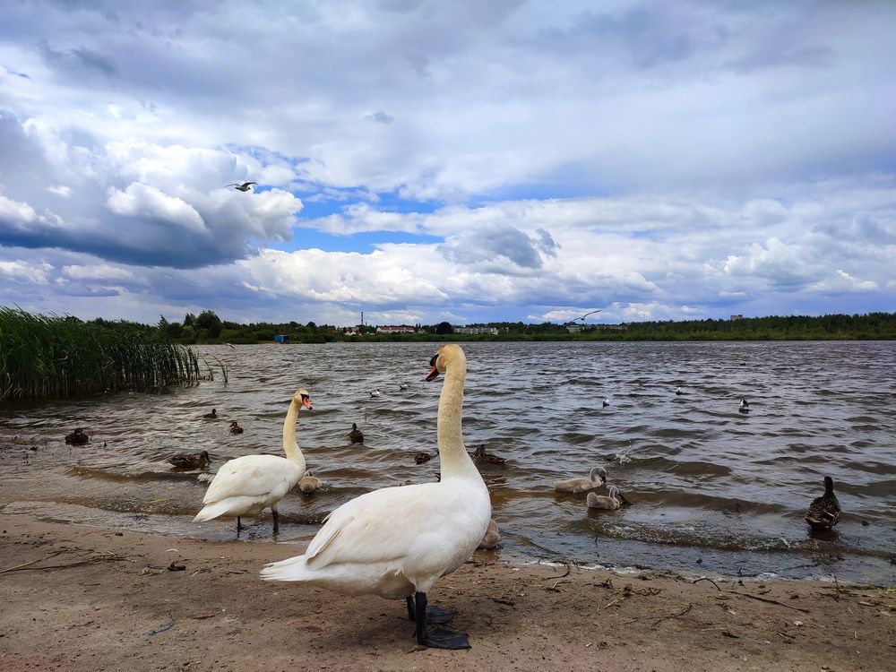 Смотрю в тебя как в зеркало...