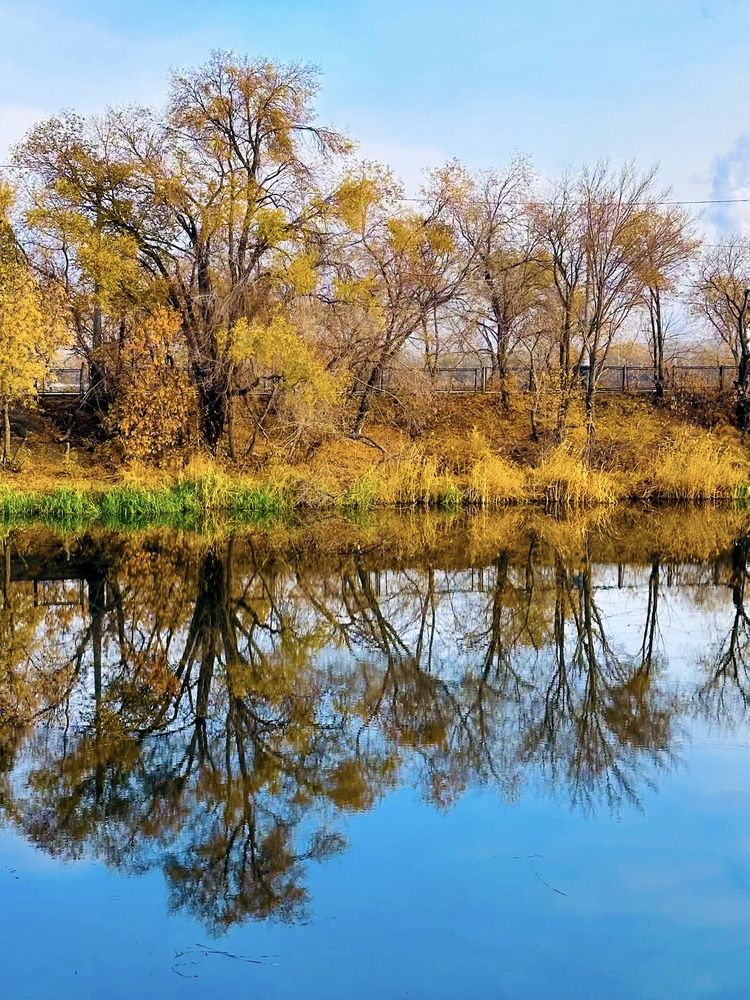 Photograph by Татьяна Галаева