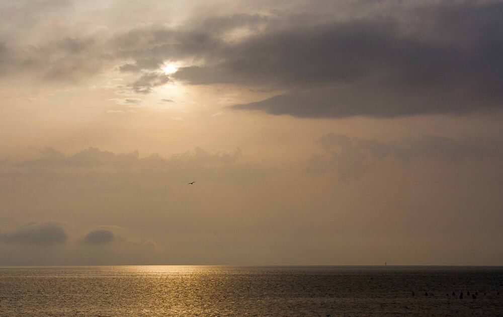 Photograph by Рашид Сафиуллин