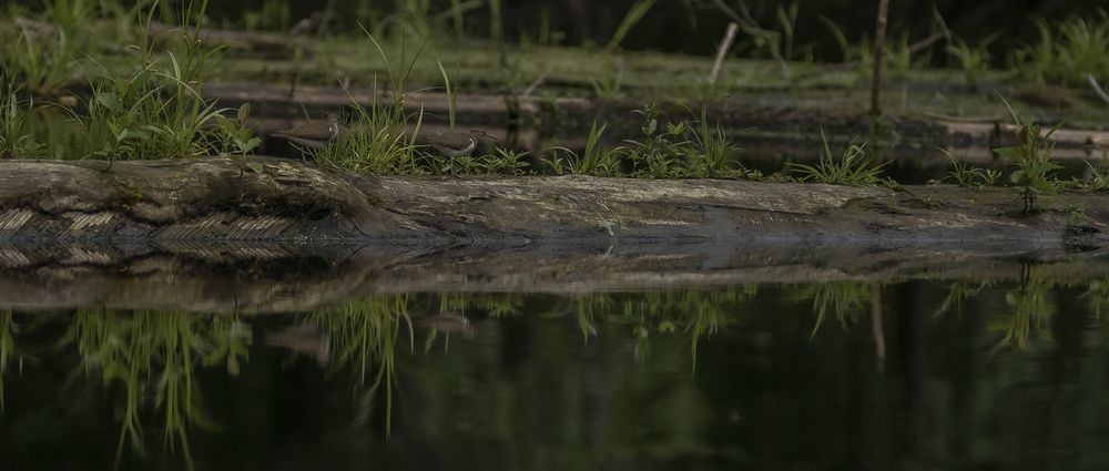 Photograph by Макс Полюхович