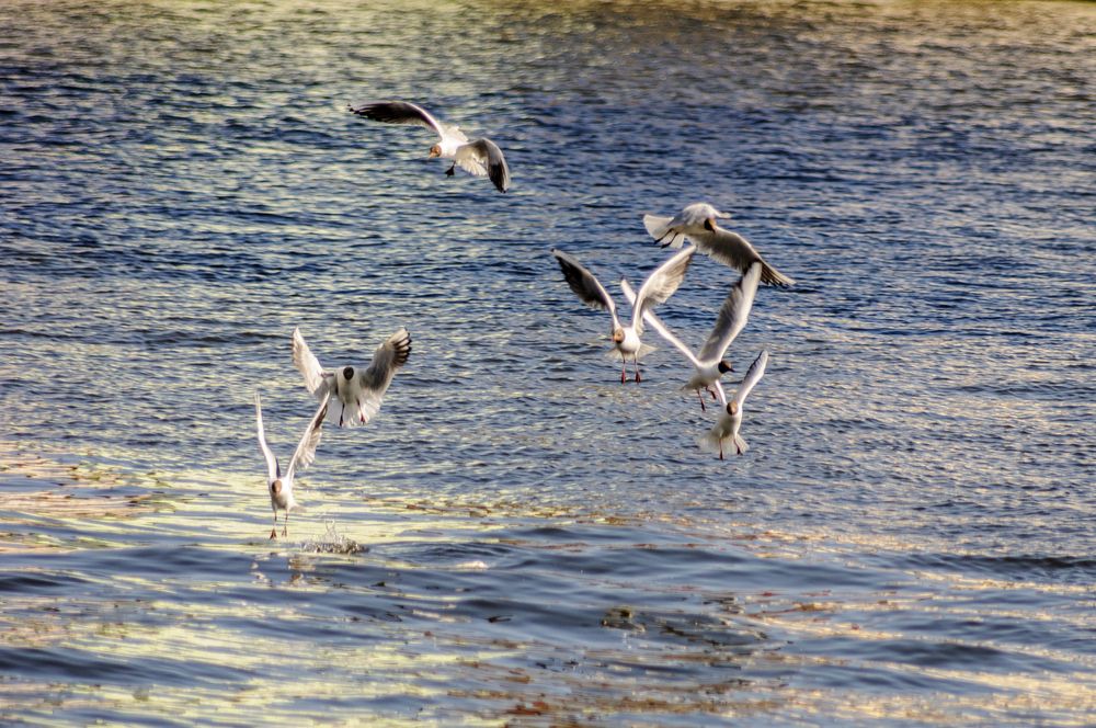 Photograph by YURIY TSARENKO